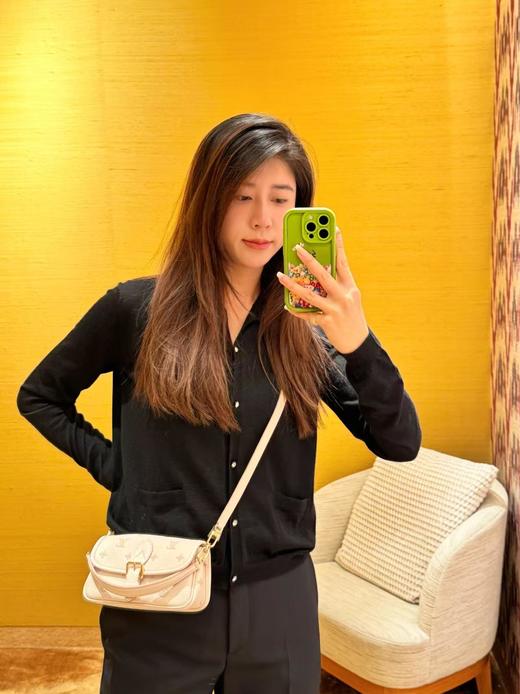 驴家Nano Diane 法棍手袋 特级MB163c芯片版原厂皮 (JPH) 商品图6