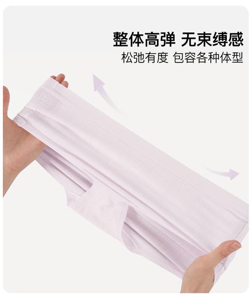 官网289！三条装内家提花莫代尔云感透气女士内裤 10A抗菌底档细腻高弹中腰全包臀底裤三角裤 商品图2