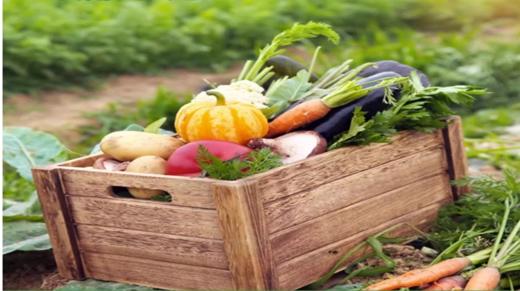 有机蔬菜月卡套餐提货券 商品图0