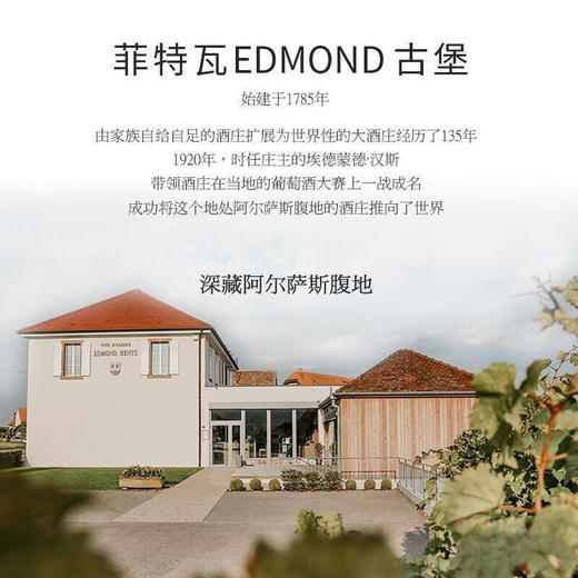 【金奖雷司令】菲特瓦艾德蒙德·汉斯庄园雷司令干白葡萄酒  法国原瓶进口 13%vol 商品图5