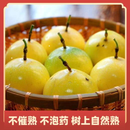 钦蜜9号百香果 不用加蜂蜜直接吃的百香果 每一颗都是圆滚滚的“汁水炸弹” 商品图1