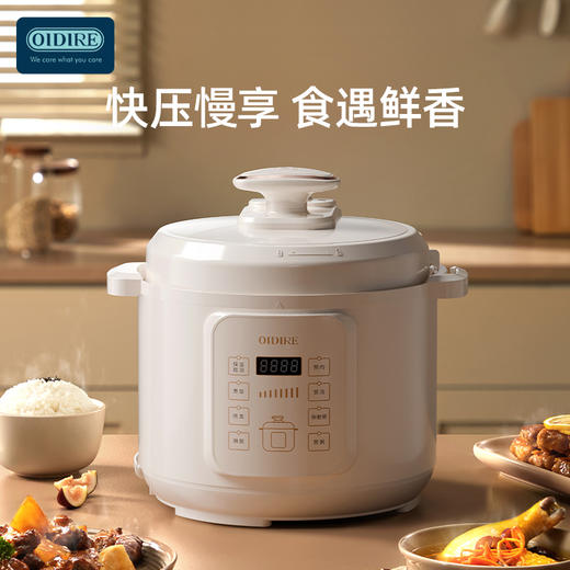 奥帝尔OIDIRE电压力锅 高压锅 高压电饭煲家用多功能高压快煮 5L ODI-YLG05 商品图0