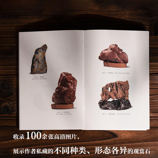 石道因缘王朝闻美学中国艺术审美赏石奇石爱好者收藏家赏石随笔收录奇石图片百余张提供发挥想象力的自由空间自然之物背后的艺术之美 商品图1