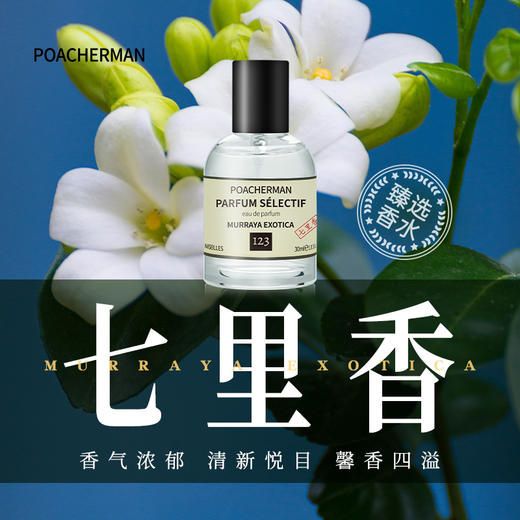 柏世曼123七里香香水 气质仙女清新花香持久白月光男女士香水 商品图0