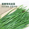 MM 山姆 有机韭菜 600g 商品缩略图4