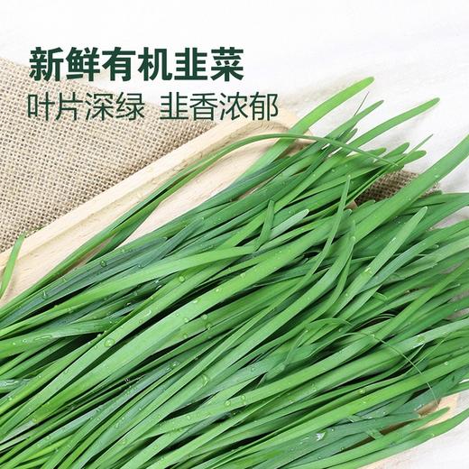 MM 山姆 有机韭菜 600g 商品图4