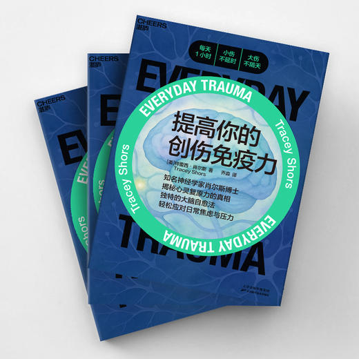 提高你的创伤免疫力  独特的大脑自愈法，轻松应对日常焦虑与压力 商品图3