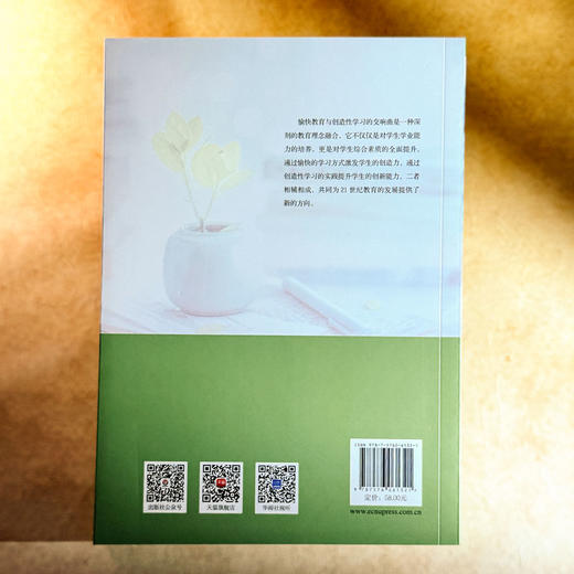 创造性学习的愉悦与深度 谭珊珊 培育创新思维的学习设计 商品图2