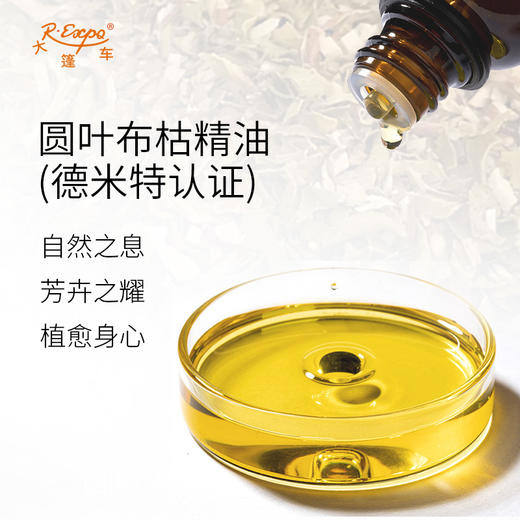 【德米特认证】圆叶布枯精油 Buchu Betulina 原料批发 大篷车精油 商品图1