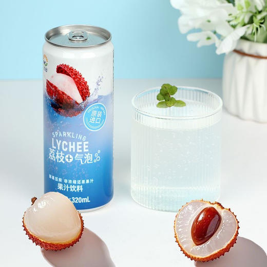 九日冰祖气泡果汁饮料 商品图4