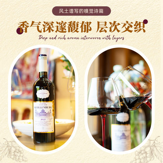 【法国原瓶进口】贵伦堡精选干红葡萄酒14度750ml*6礼盒装 商品图3