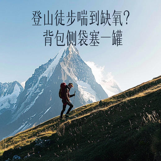 【官方正品】云南白药有这一方人参五宝茶养生茶充氮小罐装人参黄精玛咖桑椹枸杞滋补男士 商品图2