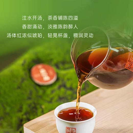无墨记有机壹品小玉饼512g 普洱茶熟茶 商品图3