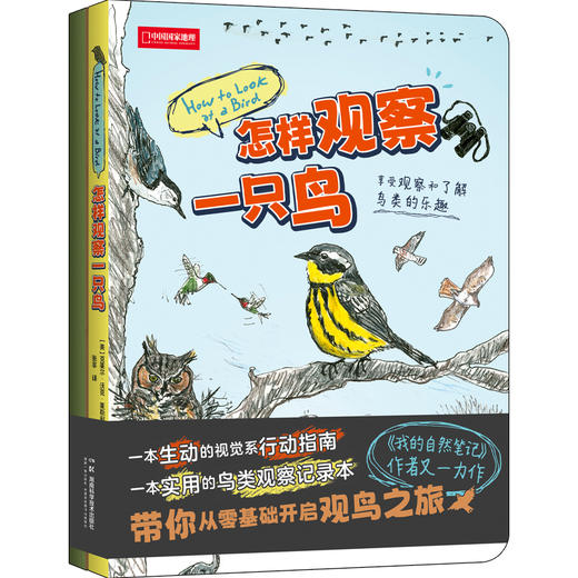 克莱尔自然教育系列：我的自然笔记+怎样观察一只鸟  和孩子一起观察大自然、探索大自然 自然观察手册 观鸟手册 科普 商品图3