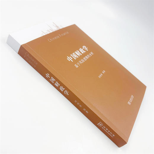 中国财政学：基于风险逻辑的分析 商品图7