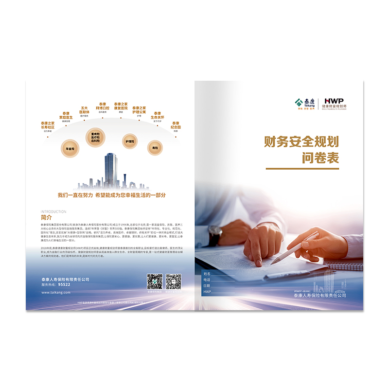 财务安全规划表 bky