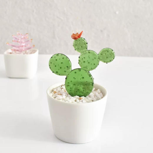 盆栽玻璃摆件/随机发货 商品图3
