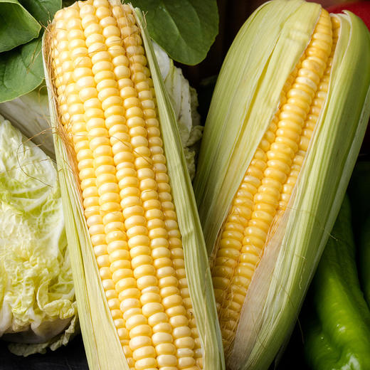 MM 山姆 有机甜脆玉米 1.2kg 商品图2