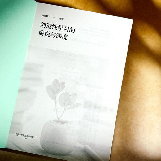创造性学习的愉悦与深度 谭珊珊 培育创新思维的学习设计 商品图5