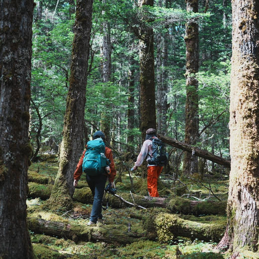 云南｜香格里拉千水牧场2天1晚，独家秘境路线，牧场花海/高山海子/原始苔藓森林/溪流湿地/自然体验/藏地文化/木屋露营，1-2日路线可选！ 商品图6