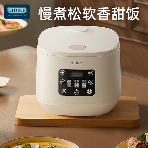 德国OIDIRE电饭煲 ODI-FB900 商品图0