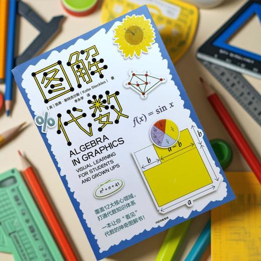 中信出版 | 图解代数 凯蒂·斯特克尔斯 商品图2