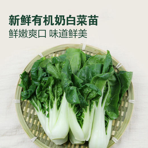 MM 山姆 Member's Mark 有机奶白菜苗 600g 商品图3