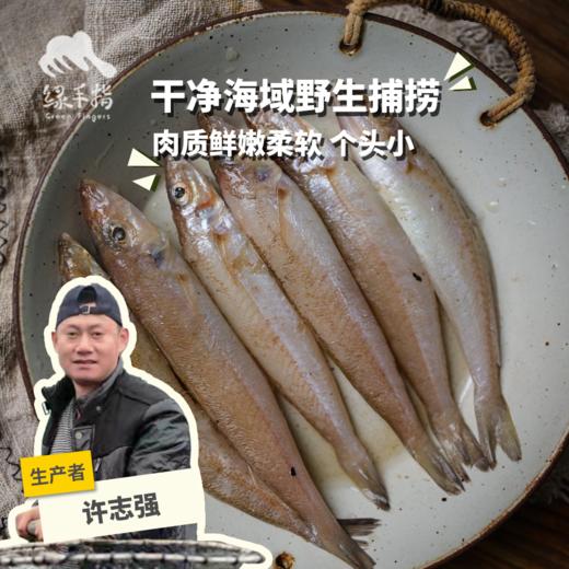 野生东山岛山尖鱼（沙尖鱼）| 合作生产 * Wild Silver sillago | Coproduction 商品图0