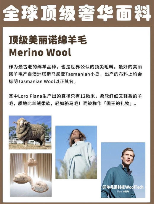 新增开衫、马甲~主打毛衣界的“皮草”拉毛2.0升级版！【岛精无缝一体工艺】 🔺95.7%澳洲塔斯马尼亚羊毛+4.3%山羊绒的黄金配比✨全球顶级毛料之一 商品图5