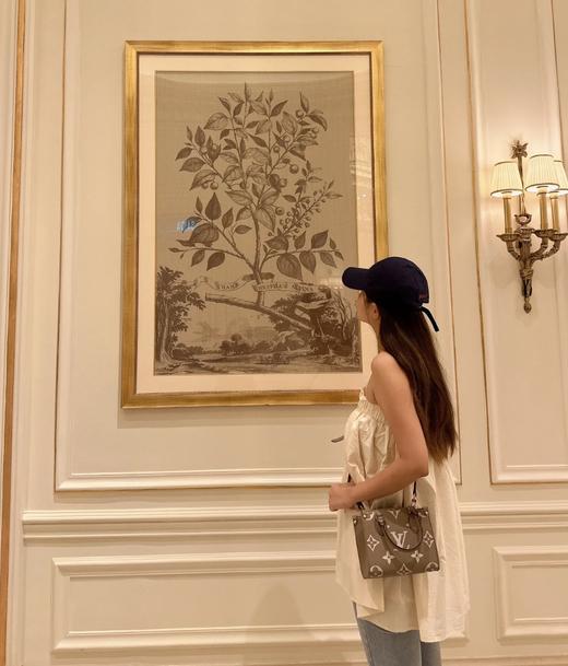 驴家 OnTheGo BB 手袋手拿斜跨托特包 M47054(JPH) 商品图13