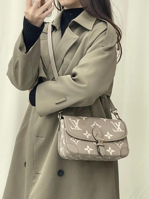 BT253-驴家  Diane 挎包   法棍 大象灰（BT*MM）7.22直播款 商品图4