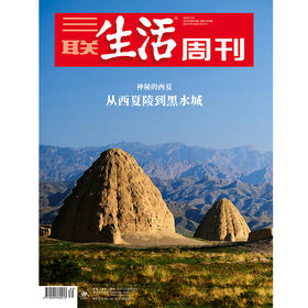 【三联生活周刊】2025年第30期1349 神秘的西夏  从西夏陵到黑水城