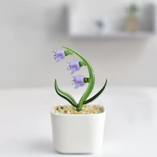 盆栽玻璃摆件/随机发货 商品图1