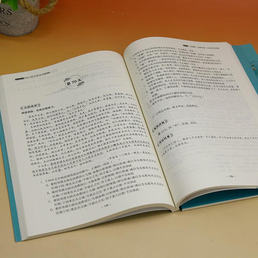 高考语文文言文九十九天高效训练 唐中云等 编 教育 商品图2