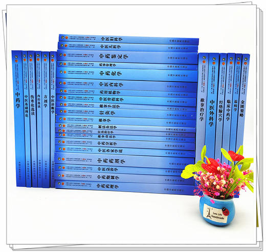 套装32本 全套十四五中医规划教材 中医基础理论中医内科学外科学方剂学中药学金匮要略伤寒论内经选读妇科学儿科学针灸学核心示范 商品图1