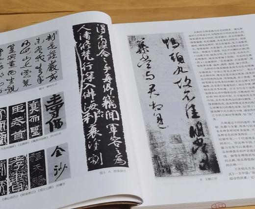 沃兴华书法论著集五种，16开平装，沃兴华著，上海古籍出版社。 商品图4