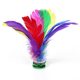 彩色大花毽子比赛专用毽子