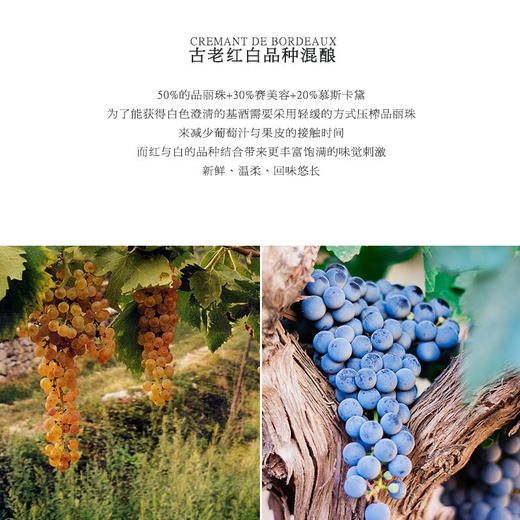 【传统香槟法】法国菲特瓦宝润天然高泡型气泡葡萄酒  波尔多·两海之间AOC 12%vol 商品图4