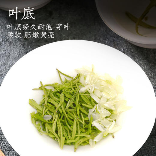 雀牌·露华春-茉莉花茶礼盒250g 商品图4