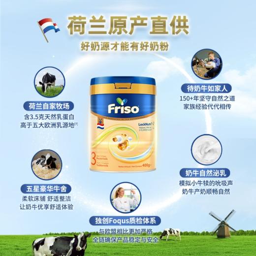 [大罐3段]荷兰版美素佳儿 Friso白金版幼儿奶粉3段（10-36个月）800g 商品图2