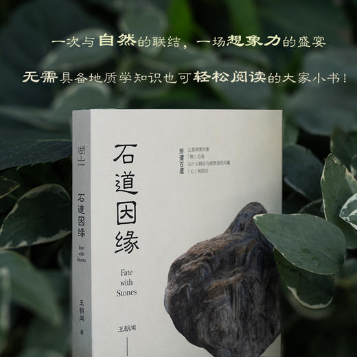 石道因缘王朝闻美学中国艺术审美赏石奇石爱好者收藏家赏石随笔收录奇石图片百余张提供发挥想象力的自由空间自然之物背后的艺术之美 商品图4