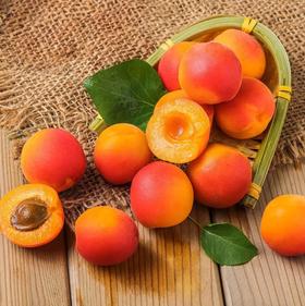 新疆吊干杏1斤装