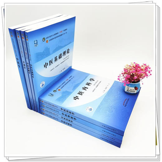 套装8本 十四五教材 中医基础理论+中药学+中医诊断学+方剂学+中医内科学+中医外科学+中医妇科学+中医儿科学院校中国中医药出版社 商品图1
