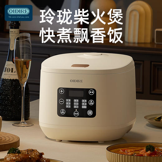 德国OIDIRE电饭煲 ODI-FB900 商品图3