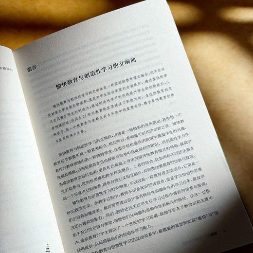 创造性学习的愉悦与深度 谭珊珊 培育创新思维的学习设计 商品图7