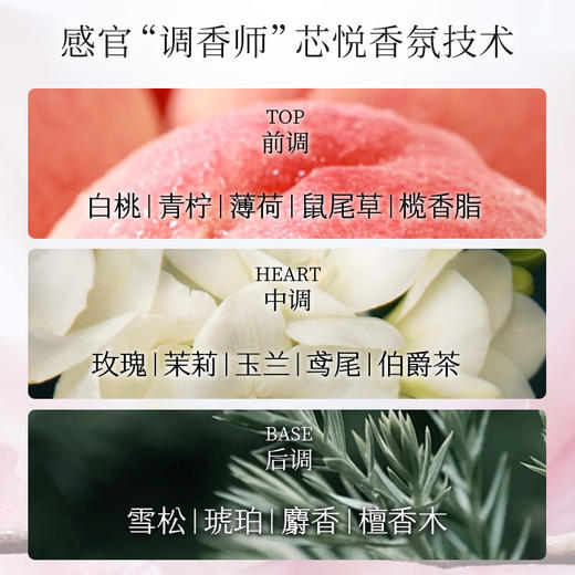 【资生堂】芯护理道轻盈丝逸系列蓬松洗发露500ml 商品图4