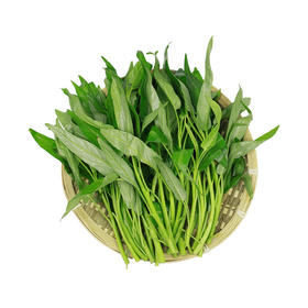 MM 山姆 有机空心菜 600g