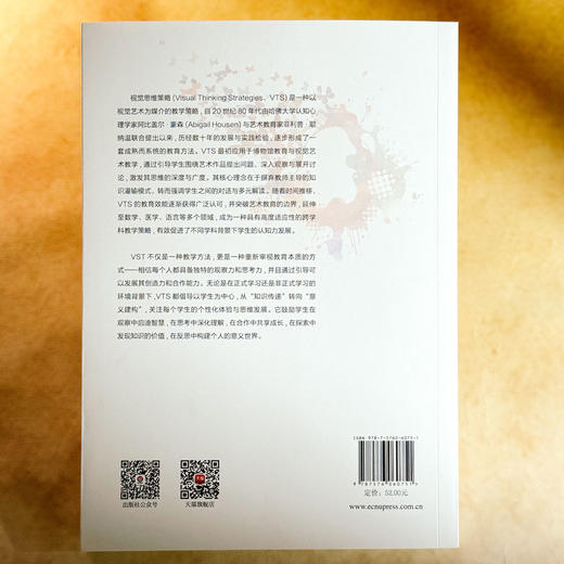 视觉思维策略 利用艺术深化跨学科学习 艺术与认知丛书 视觉艺术教学策略 商品图2