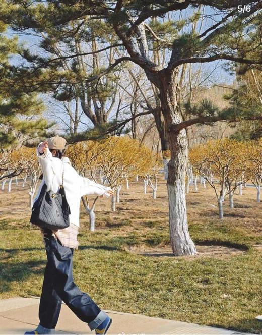 香奈儿 25s春夏秀款 深色牛仔 hoho bag链条包 小/中号   （LZ） 商品图10