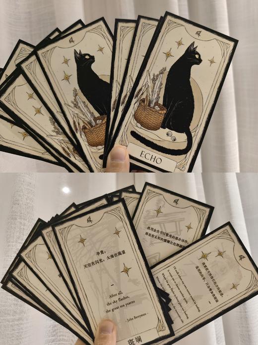 【限量前100赠送猫猫诗句卡牌】新民说 诗歌小史 (英)约翰·凯里/著  黄福海/译 诗歌史 汉诗英译 战争诗 诗歌流派 文学 广西师范大学出版社 商品图1